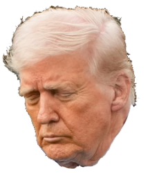 Sad Trump Meme Template