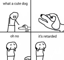 Cute dog It's retarded Meme Template