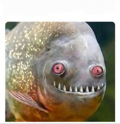 Crazy fish Meme Template