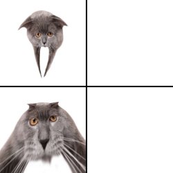 Oberezhnometano Meme Template