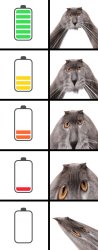 Oberezhnometano Meme Template