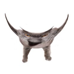 Neoberezhnometano Meme Template