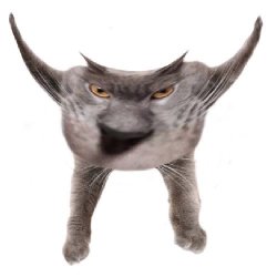 Neoberezhnometano Meme Template