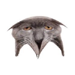 Neoberezhnometano Meme Template
