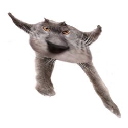 Neoberezhnometano Meme Template