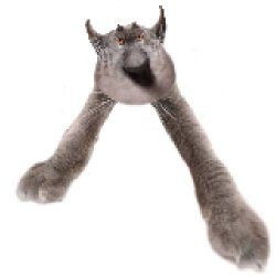 Neoberezhnometano Meme Template