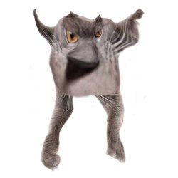 Neoberezhnometano Meme Template