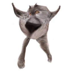 Neoberezhnometano Meme Template