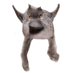 Neoberezhnometano Meme Template