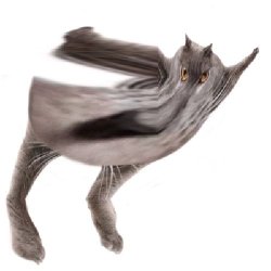 Neoberezhnometano Meme Template