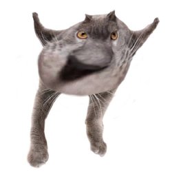 Neoberezhnometano Meme Template