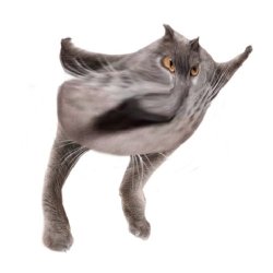 Neoberezhnometano Meme Template