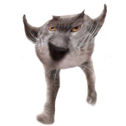 Neoberezhnometano Meme Template