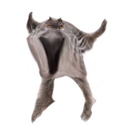 Neoberezhnometano Meme Template