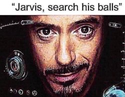 Jarvis, search his balls Meme Template