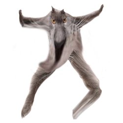 Neoberezhnometano Meme Template