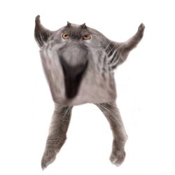Neoberezhnometano Meme Template