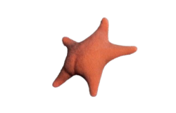 starbutt Meme Template