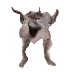 Neoberezhnometano Meme Template