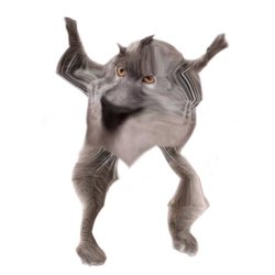 Neoberezhnometano Meme Template