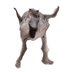 Neoberezhnometano Meme Template