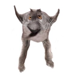 Neoberezhnometano Meme Template