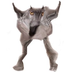 Neoberezhnometano Meme Template