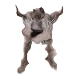 Neoberezhnometano Meme Template