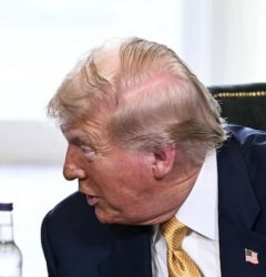 Trump Meme Template