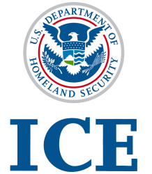 Ice logo Meme Template