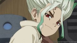 Senku Meme Template