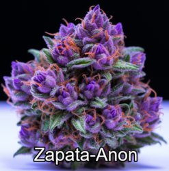 Purple Cannabis Meme Template
