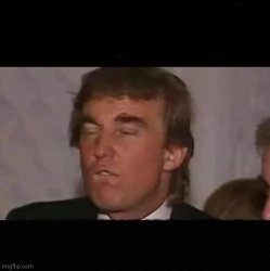 Trump loser Meme Template