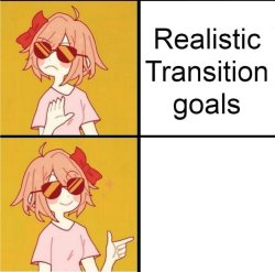 Realistic transition goals Meme Template