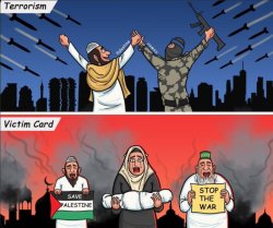Taqiyya in Acrion Meme Template