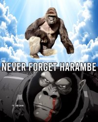 the great ape Meme Template