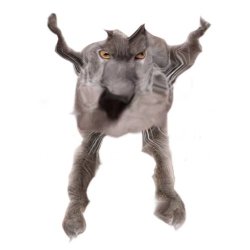 Neoberezhnometano Meme Template
