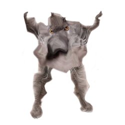 Neoberezhnometano Meme Template