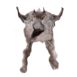 Neoberezhnometano Meme Template