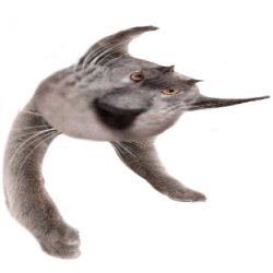 Neoberezhnometano Meme Template