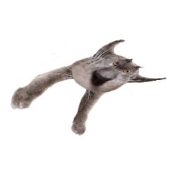 Neoberezhnometano Meme Template