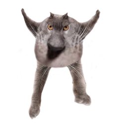 Neoberezhnometano Meme Template
