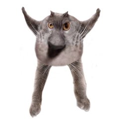 Neoberezhnometano Meme Template