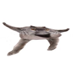 Neoberezhnometano Meme Template