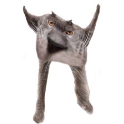 Neoberezhnometano Meme Template