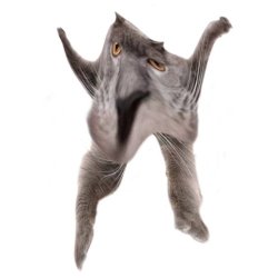 Neoberezhnometano Meme Template