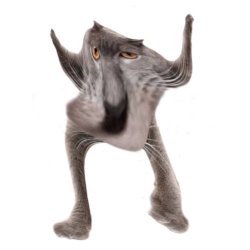 Neoberezhnometano Meme Template