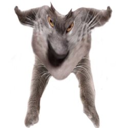 Neoberezhnometano Meme Template