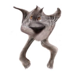 Neoberezhnometano Meme Template