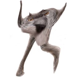 Neoberezhnometano Meme Template